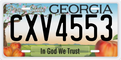 GA license plate CXV4553