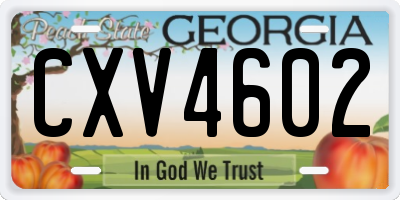 GA license plate CXV4602