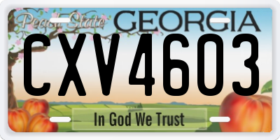 GA license plate CXV4603