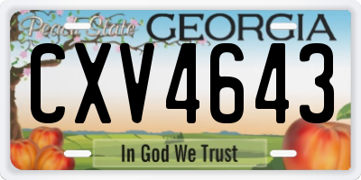 GA license plate CXV4643