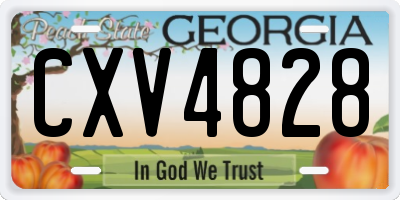 GA license plate CXV4828