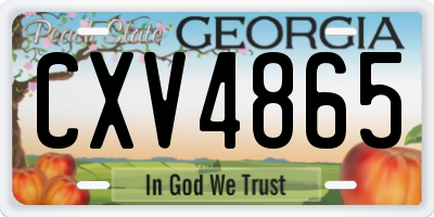 GA license plate CXV4865