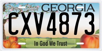 GA license plate CXV4873