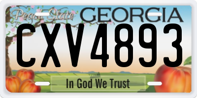 GA license plate CXV4893