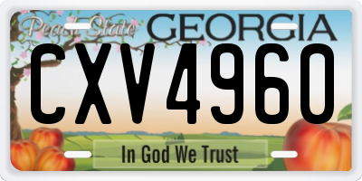 GA license plate CXV4960