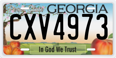 GA license plate CXV4973
