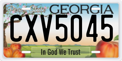 GA license plate CXV5045