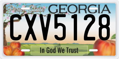 GA license plate CXV5128