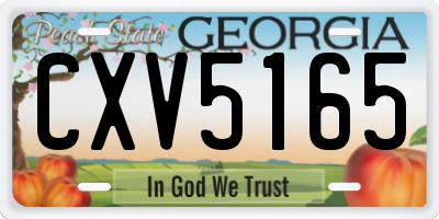 GA license plate CXV5165
