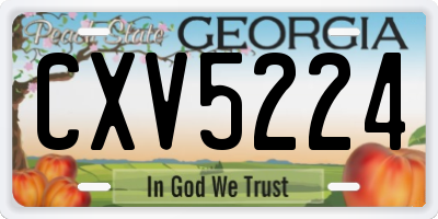 GA license plate CXV5224