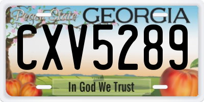 GA license plate CXV5289