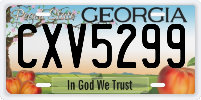 GA license plate CXV5299