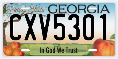 GA license plate CXV5301