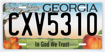 GA license plate CXV5310