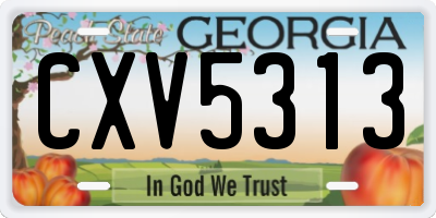 GA license plate CXV5313