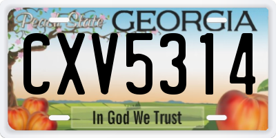 GA license plate CXV5314