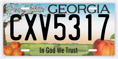 GA license plate CXV5317