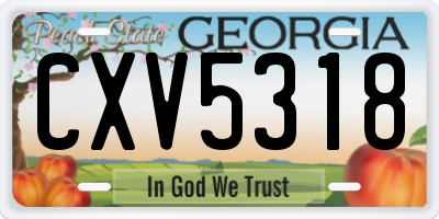 GA license plate CXV5318