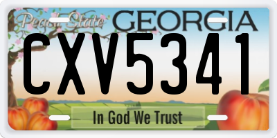 GA license plate CXV5341