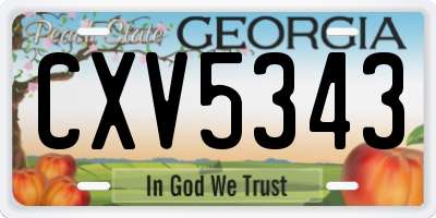 GA license plate CXV5343