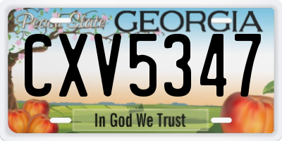 GA license plate CXV5347