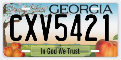 GA license plate CXV5421