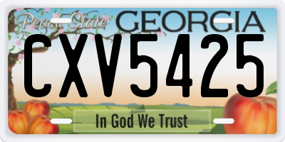 GA license plate CXV5425