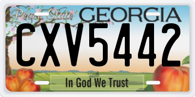 GA license plate CXV5442