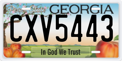 GA license plate CXV5443