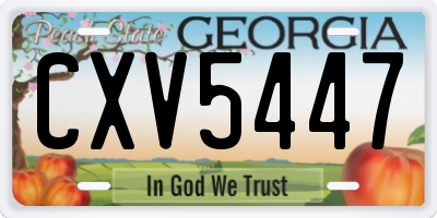 GA license plate CXV5447