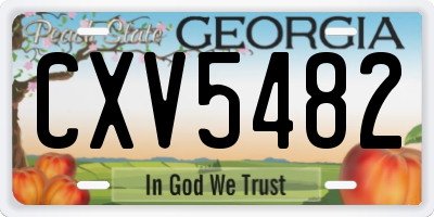 GA license plate CXV5482