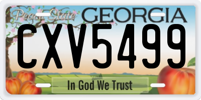 GA license plate CXV5499
