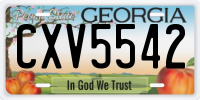 GA license plate CXV5542