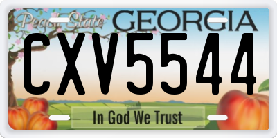 GA license plate CXV5544