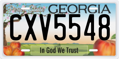 GA license plate CXV5548