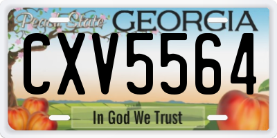 GA license plate CXV5564