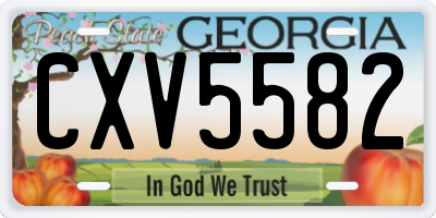 GA license plate CXV5582