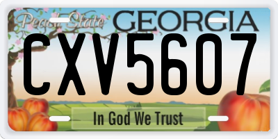 GA license plate CXV5607