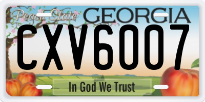 GA license plate CXV6007