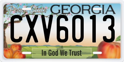 GA license plate CXV6013