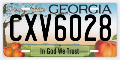 GA license plate CXV6028
