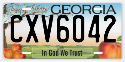 GA license plate CXV6042