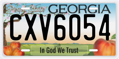 GA license plate CXV6054