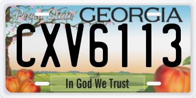 GA license plate CXV6113