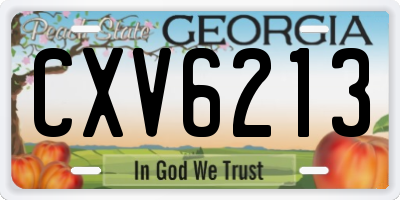 GA license plate CXV6213