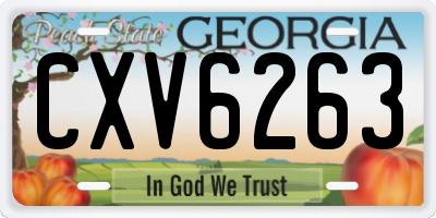GA license plate CXV6263