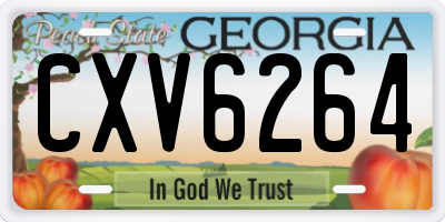 GA license plate CXV6264