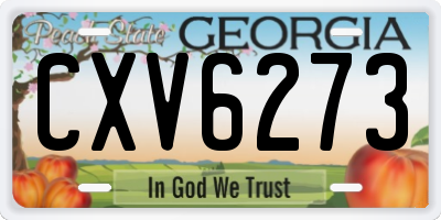 GA license plate CXV6273