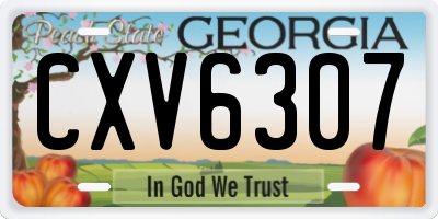 GA license plate CXV6307