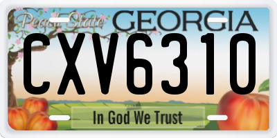 GA license plate CXV6310